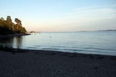 DSCF6958