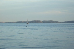 DSCF6961