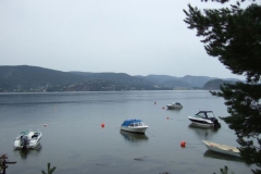 DSCF6965