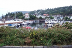 DSCF6969