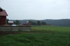 DSCF6971