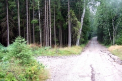 DSCF6977
