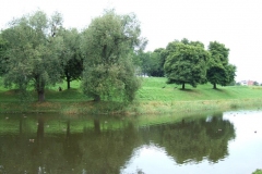DSCF6989