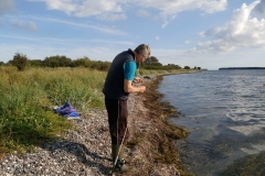 IMG_20170903_163036
