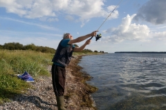 IMG_20170903_163056