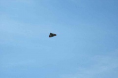 DSCF0526