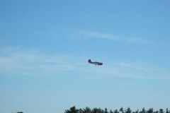 DSCF0541