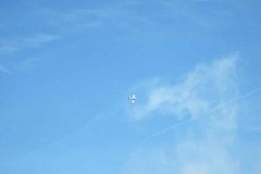 DSCF0549