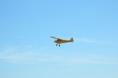 DSCF0576
