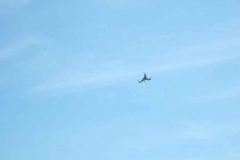 DSCF0688