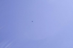 Forskellige-Fly-1