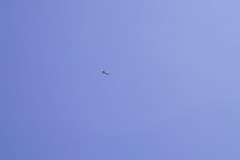 RDAF-F16-_3