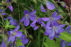 DSC04550