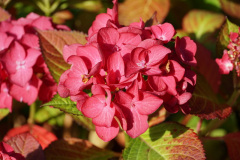 DSC04569