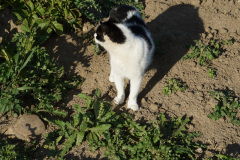 DSC05543