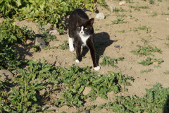 DSC05546