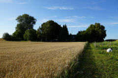 DSC05550