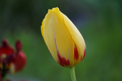 DSC06118