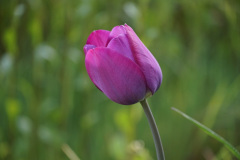 DSC06130
