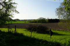 DSC06147
