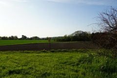 DSC06150