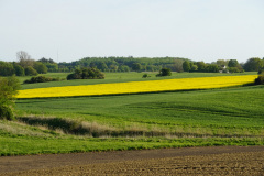 DSC06159
