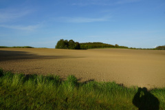DSC06168