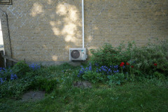 DSC06199