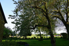 DSC06200