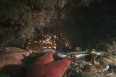 DSCF5172
