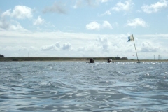DSCF5530