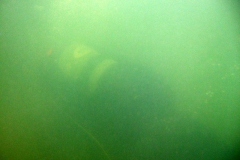 DSCF5681