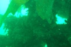 DSCF1759