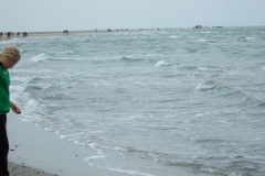 DSCF1895