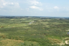 DSCF1984