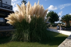 IMG_20160926_163612