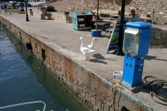 IMG_20160927_152835
