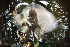 DSCF1138