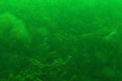 DSCF7246