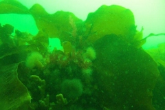 DSCF7249