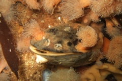 DSCF7256