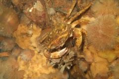DSCF7275