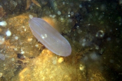 DSCF0772