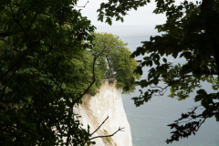 DSC05657