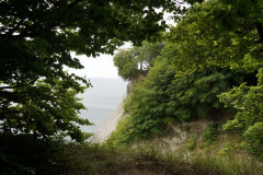 DSC05681