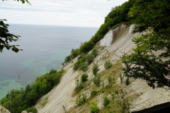 DSC05695