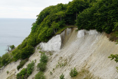 DSC05699