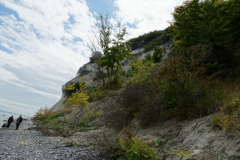 DSC05721