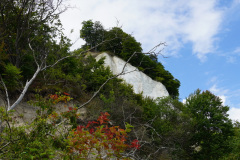 DSC05724