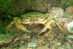 DSCF2368